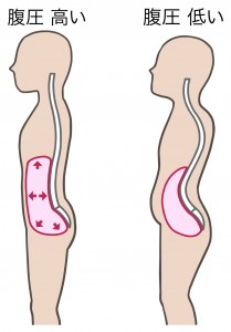 腹圧 腰痛予防と姿勢 腹式呼吸