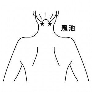 経穴　風池