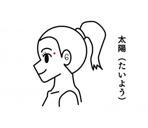 頭　ツボ　太陽