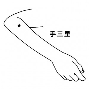 手三里 ツボ イラスト